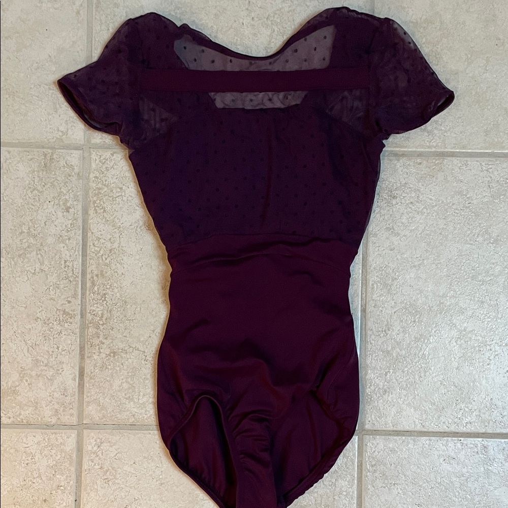 Purple Sheer Sleeve Leotard